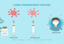 действие на коронавирус ваксините