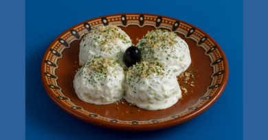 bulgarian Snejanka-salad.png_