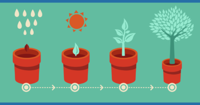 Small business ideas in the UK